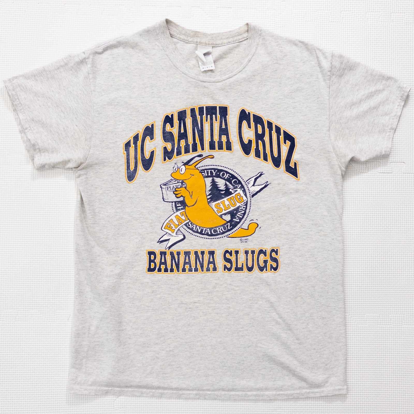 90s-00s ”UC Santa Cruz” M – Used & Vintage T-Shirts TeeBoy