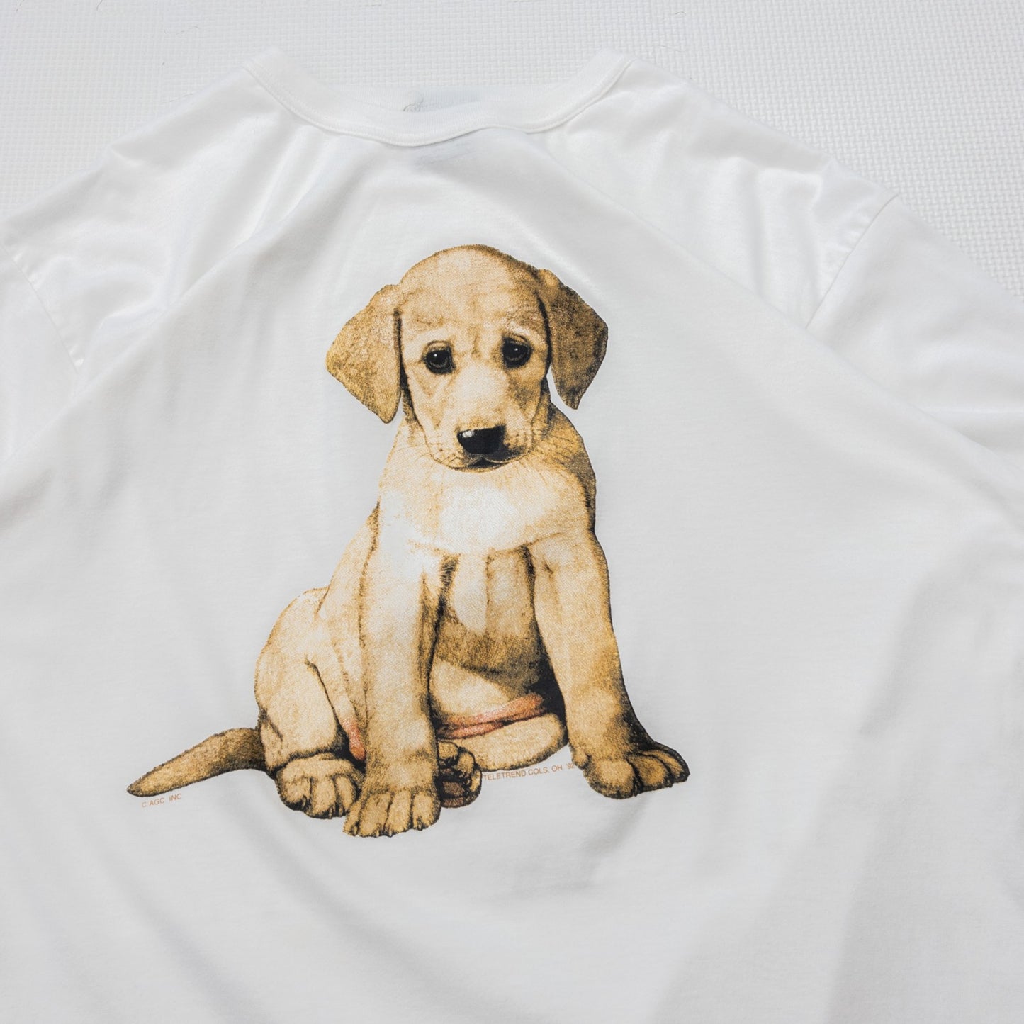 90s ”Labrador Retriever”