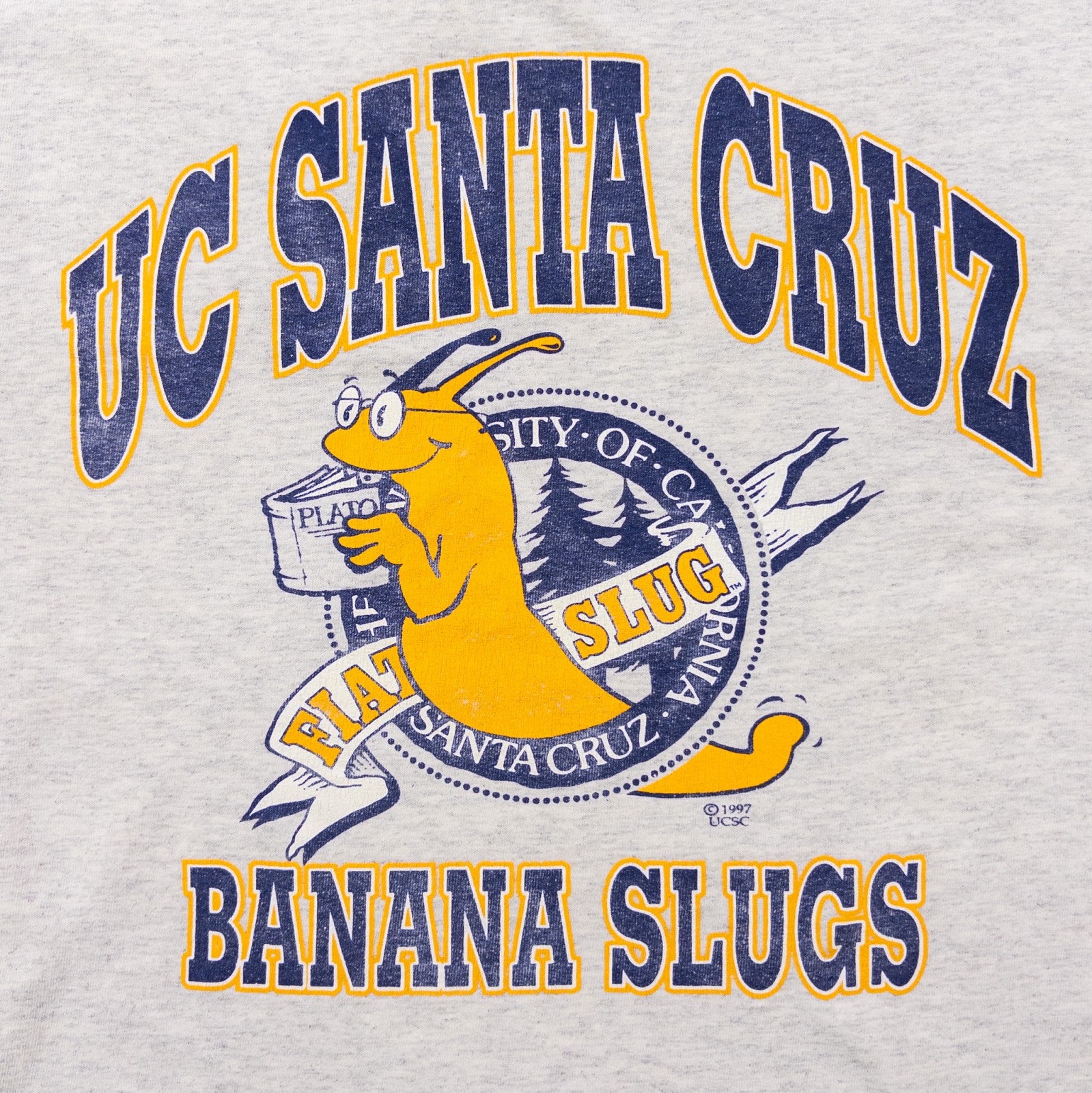 90s-00s ”UC Santa Cruz” M – Used & Vintage T-Shirts TeeBoy